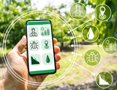 Public call Introduction of innovations and information and communication technologies in the agricultural and food sector